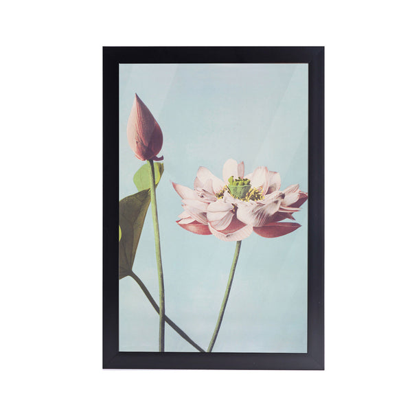 Lotus Blossom Acrylic Art Print with Frame