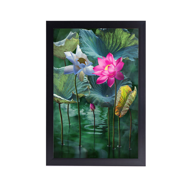 Lotus Flower in lake Acrylic Art Print with Frame