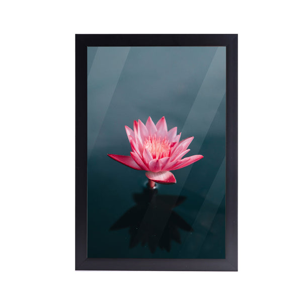 Lotus Flower Acrylic Art Print with Frame